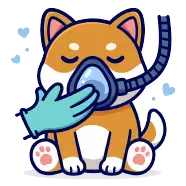 Anestesia Inalatória Hai Saúde Pet