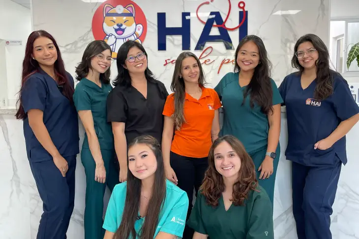 Equipe Hospital Hai Saúde pet