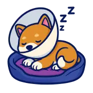 Internação Hai Saúde Pet